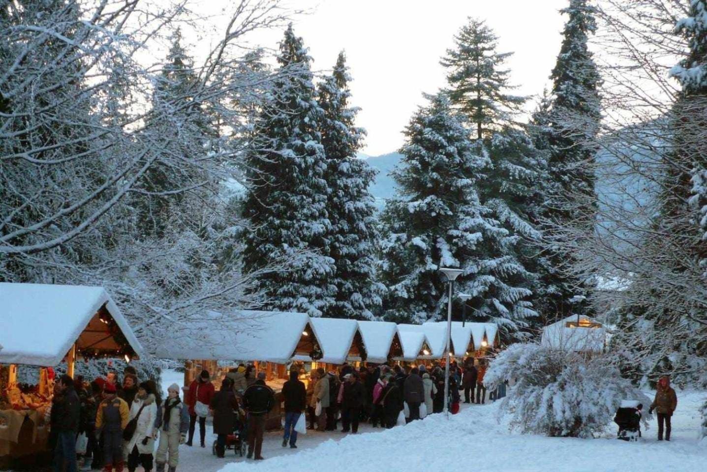 Appartamento Al Garibaldi Levico Terme Buitenkant foto